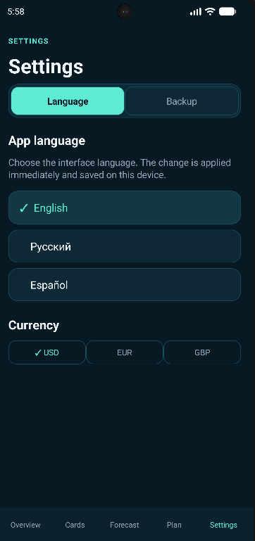 DebtExit language and currency settings